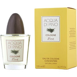 Acqua Di Pino By Pino Silvestre Eau De Cologne Concentree Spray